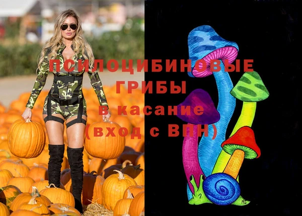 шишки Балахна